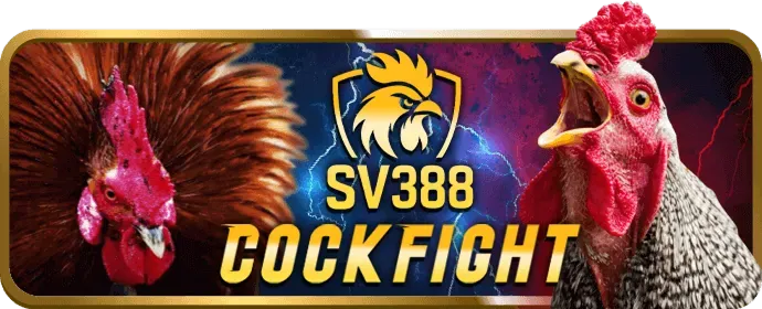 Công bằng Vivabet